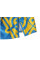 Шорты BERSERK HETMAN blue