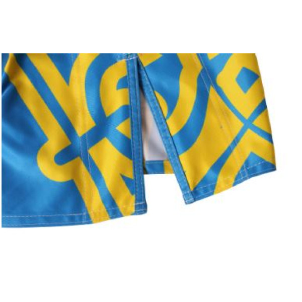 Шорты BERSERK HETMAN blue