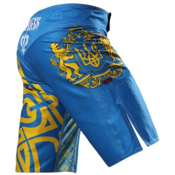 Шорты BERSERK HETMAN blue