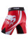 Шорты Venum Electron 2.0 Vale Tudo shorts Red