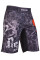 Шорты для MMA WARRIOR SPIRIT black