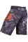Шорты для MMA WARRIOR SPIRIT black