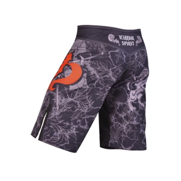 Шорты для MMA WARRIOR SPIRIT black