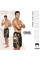 Шорты для MMA Venum Lyoto Machida Ryujin - Black