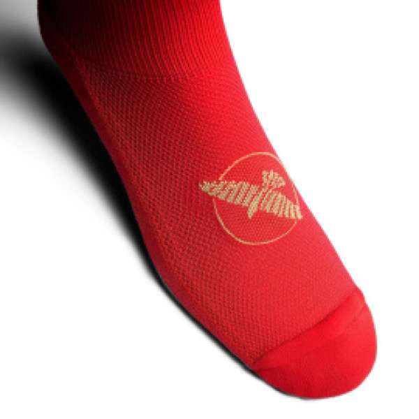Носки Hayabusa Pro Boxing Socks Red