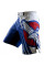 Шорты Hayabusa Chikara Recast Performance Shorts Blue