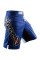 Шорты Hayabusa Chikara Recast Performance Shorts Blue