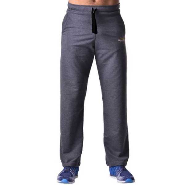 Спортивные штаны BERSERK PRAGMATIC dark grey