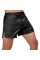 Шорты для MMA Hayabusa Hex Mid-Length Fight Shorts Black
