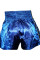 Шорты Fairtex BS 0603