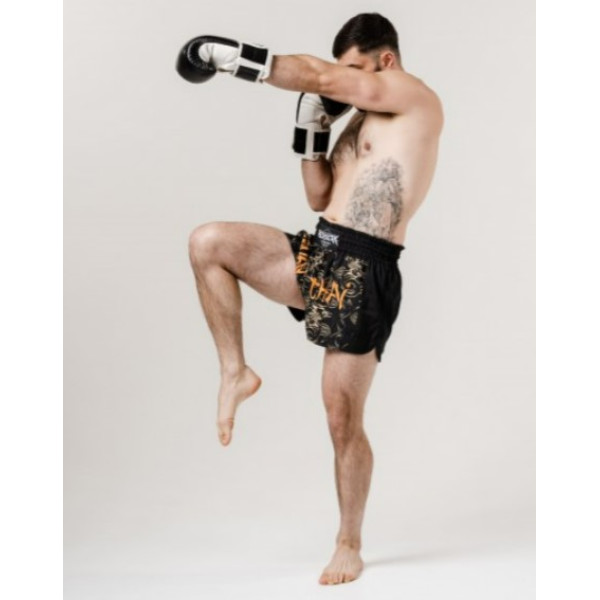 Шорти BERSERK THAI Power black