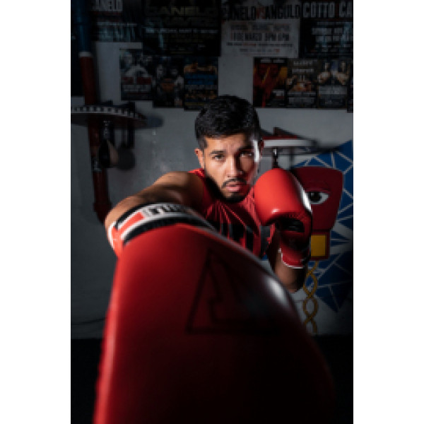 Боксерские перчатки Title Gel E-Series Training&Sparring Gloves Red White Black