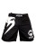 Шорты Venum Light Classic Fight Shorts