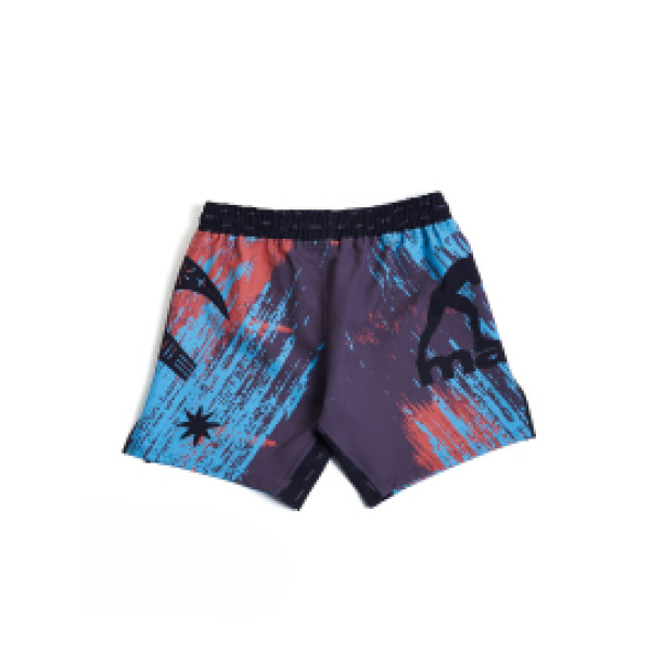 Шорты для MMA MANTO Livings Multicolor