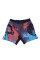 Шорты для MMA MANTO Livings Multicolor
