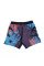 Шорты для MMA MANTO Livings Multicolor