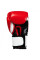 Боксерские перчатки Title Premium Leather Performance Training Gloves Red