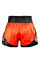 Шорты Muay Thai Fairtex BS0611