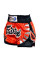 Шорты Muay Thai Fairtex BS0611