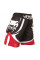 Шорты Venum Electron 2.0 Fightshorts Black - Red