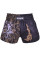 Шорты Berserk-sport Muay Thai Fighter black