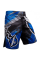Шорты Hayabusa Chikara 3.0 Fight Shorts Blue