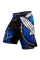 Шорты Hayabusa Chikara 3.0 Fight Shorts Blue