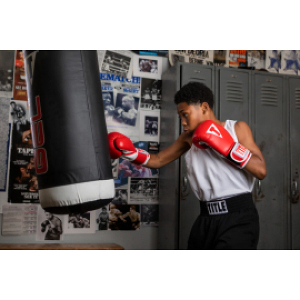 Боксерские перчатки Title Classic Pro Style Training Gloves 3.0 Red White