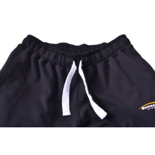 Спортивные штаны BERSERK PREMIUM black