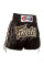 Шорты Fairtex BS 0601