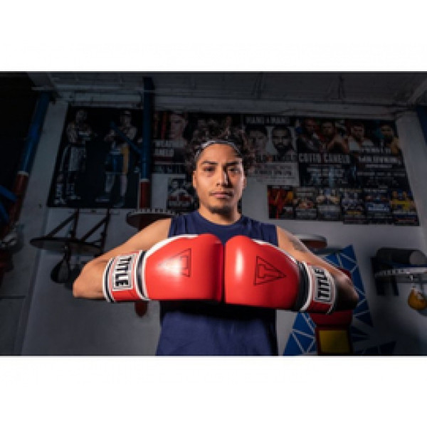 Боксерские перчатки Title GEL E-Series Training Gloves Red White