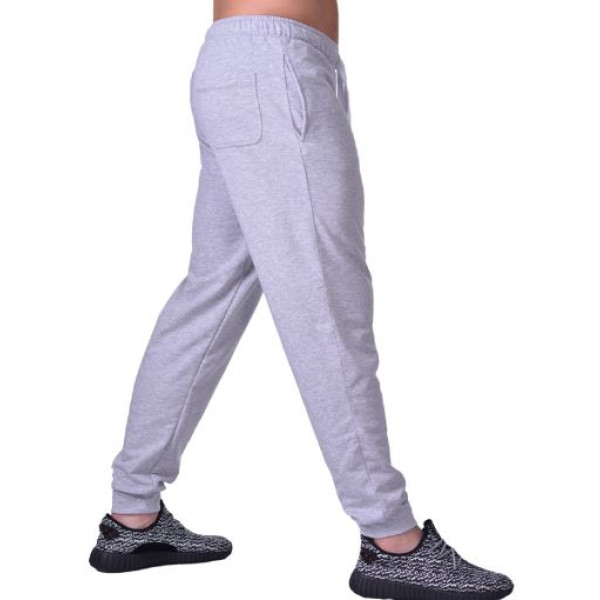 Спортивные штаны BERSERK PREMIUM grey