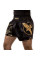 Шорты для тайского бокса Hayabusa Falcon Muay Thai Shorts Black