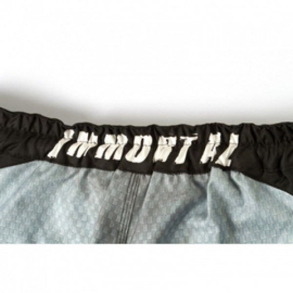 Шорты Peresvit Immortal Fightshorts Snowstorm