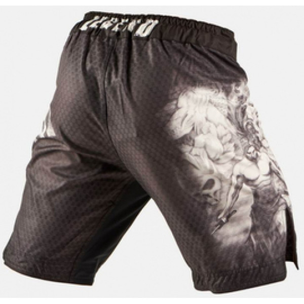 Шорты для MMA Peresvit Samurai Fury 2.0 Fightshorts Black