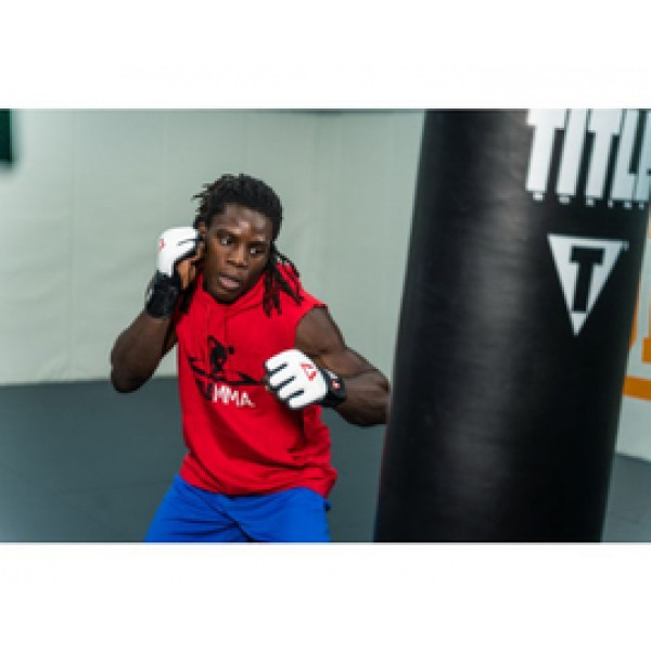 Перчатки Titile MMA Pro Training Gloves White Black