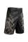 Шорты Hayabusa Mizuchi 2.0 Limited Edition Fight Shorts