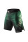 Шорты Peresvit Legend Fightshorts Forrest Green