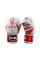 Боксерские перчатки Twins Fancy FBGVL3-TW5 Red White