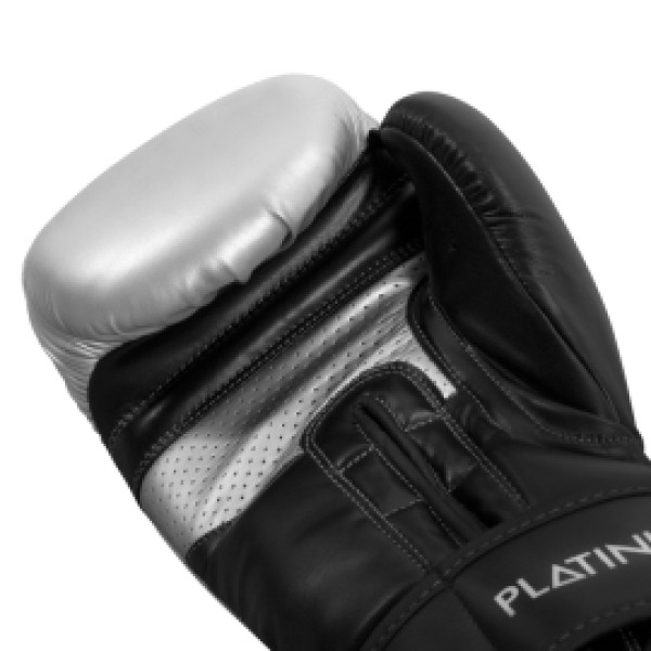 Боксерские перчатки Title Platinum Proclaim Training Gloves