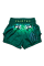 Шорты для тайского бокса Fairtex BS1913 Tonna