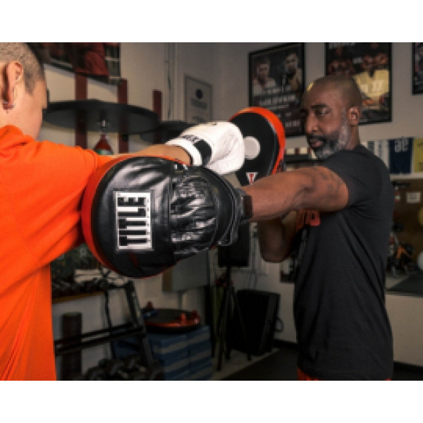 Лапы Title Boxing Incredi-ball Punch Mitts 2.0