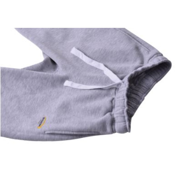 Спортивные штаны BERSERK PREMIUM grey (с начесом)
