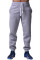 Спортивные штаны BERSERK PREMIUM grey (с начесом)