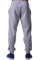 Спортивные штаны BERSERK PREMIUM grey (с начесом)