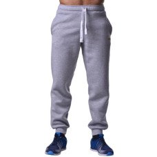 Спортивные штаны BERSERK PREMIUM grey (с начесом)