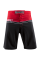 Шорты Hayabusa Sport Training Shorts Red