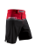 Шорты Hayabusa Sport Training Shorts Red