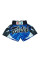 Шорты Fairtex BS 0612