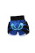 Шорты Fairtex BS 0612